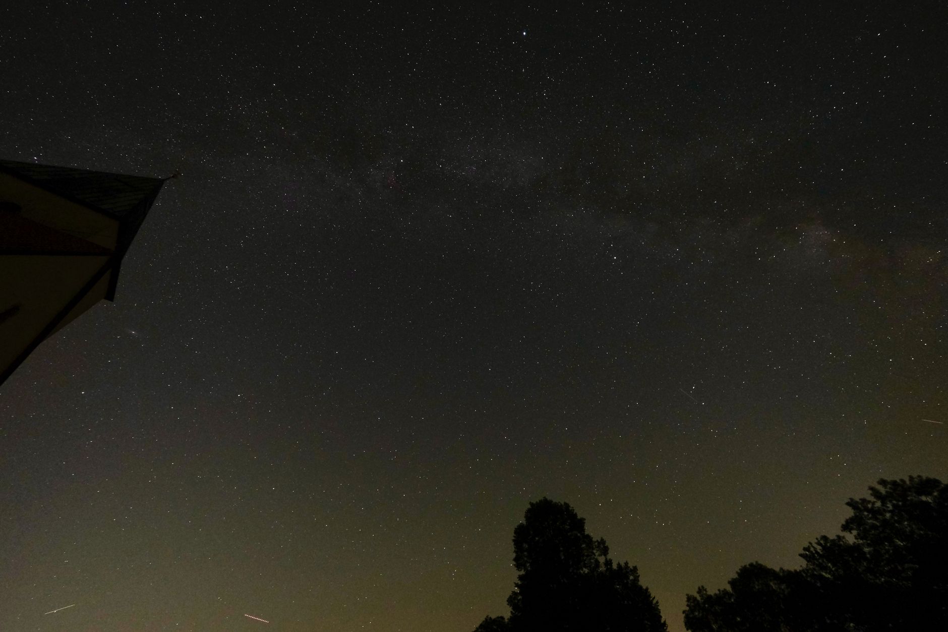 pexels photo 18358576